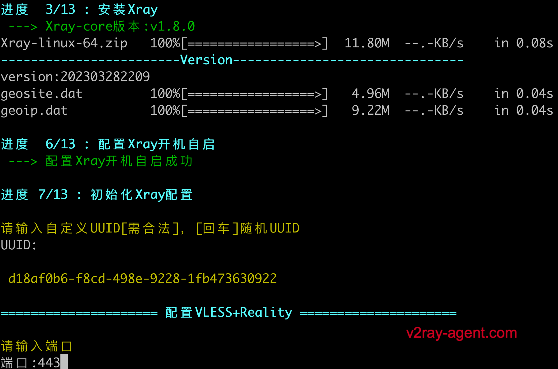Xray Reality X UI VPS Xray Reality X UI VPS