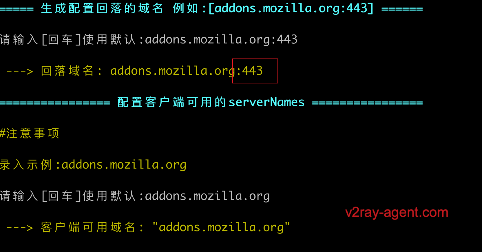 Xray Reality X UI VPS Xray Reality X UI VPS
